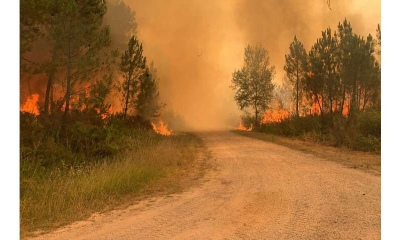 Spate of wildfires scorches parts of Europe amid heat wave