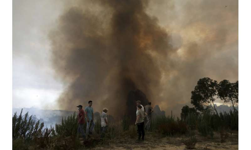 Spate of wildfires scorches parts of Europe amid heat wave