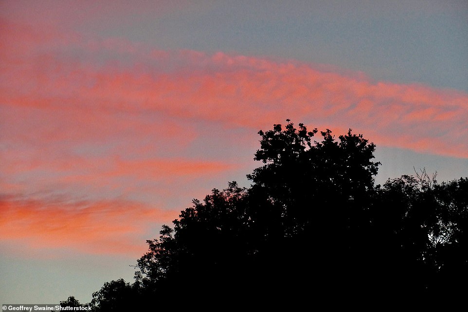 A beautiful sunrise this morning in the Oxfordshire countryside at Dunsden as the warm weather continues