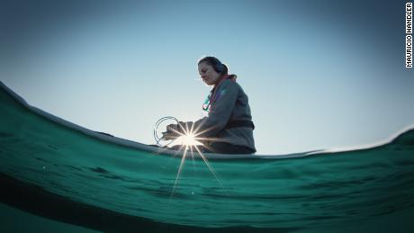 Susannah Buchan listens to blue whales with a microphone in Chile&#39;s Corcovado Gulf.