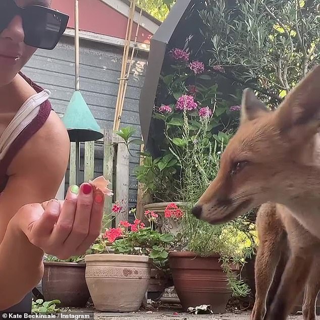 Heartwarming: The actress, 48, took to Instagram to post an update clip of herself feeding the fox some ham after she recently found it waiting outside the door of her mother's house