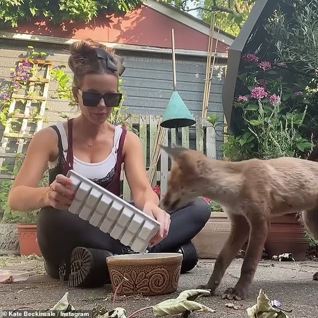 Visitor: The Underworld star clearly wanted the stray to stick around as she gave it some food and a rub while sat in her back garden