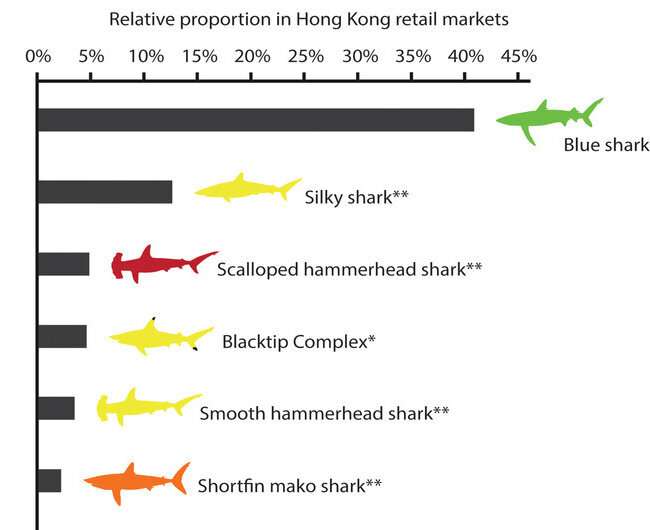 Two-thirds of species in global shark fin trade at risk of extinction