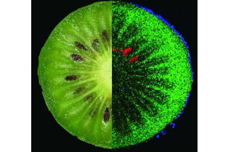 MS imaging makes ingredients, additives and contaminants of food visible