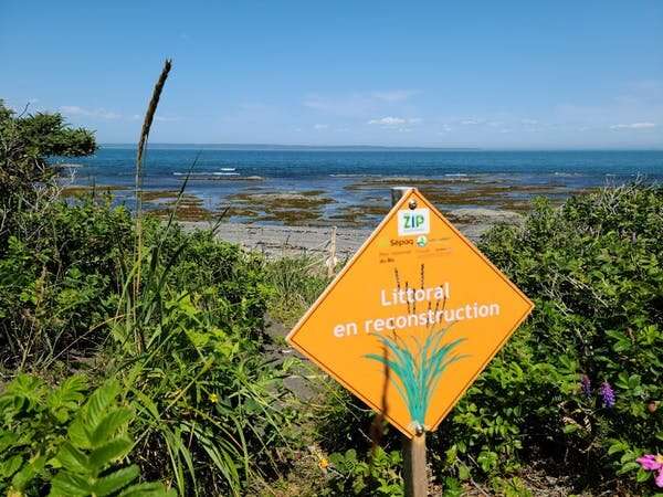 St. Lawrence shoreline erosion: We must work with, not against, nature