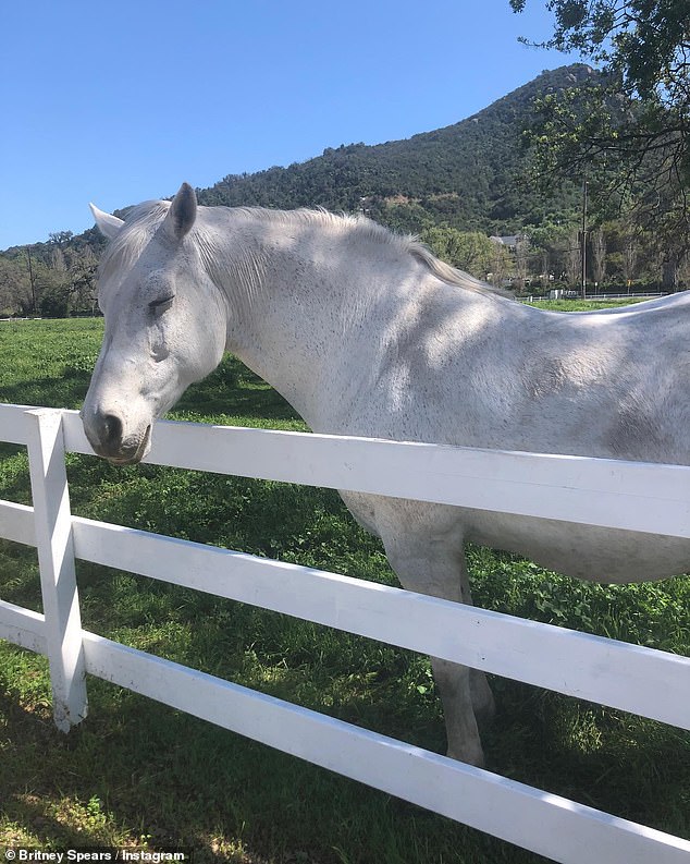 Furry pal: Spears, who has also made her love of horseback riding known to the public, also shared a duo of shots of one of her four-legged friends to her Instagram account on Thursday