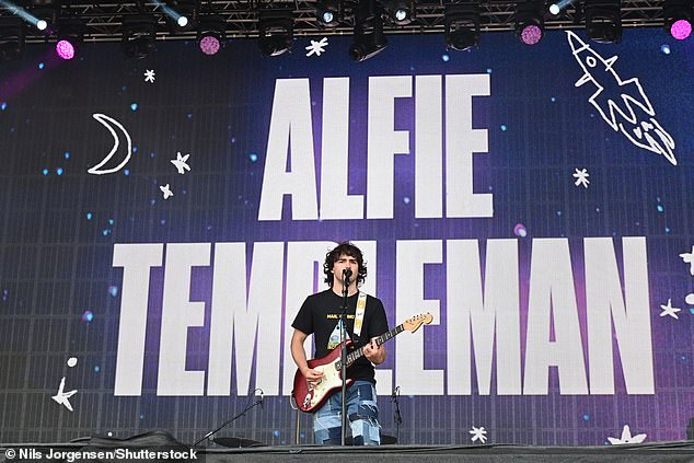 Mix: This year festivalgoers can enjoy an exciting line-up from a variety of different artists. Pictured, Alfie Templeman