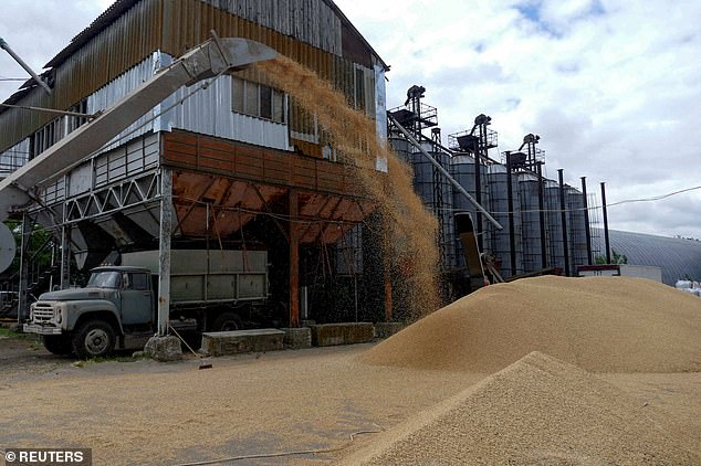 A truck is pictured waiting at an Odesa grain terminal during harvesting early this morning