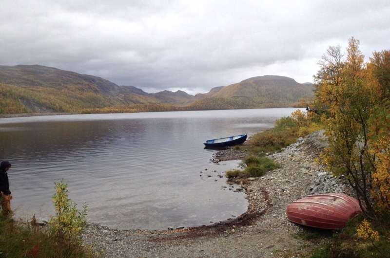 Natural clean-up: Bacteria can remove plastic pollution from lakes