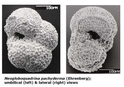 Hot on trail of causes of rapid ice sheet instabilities in climate history