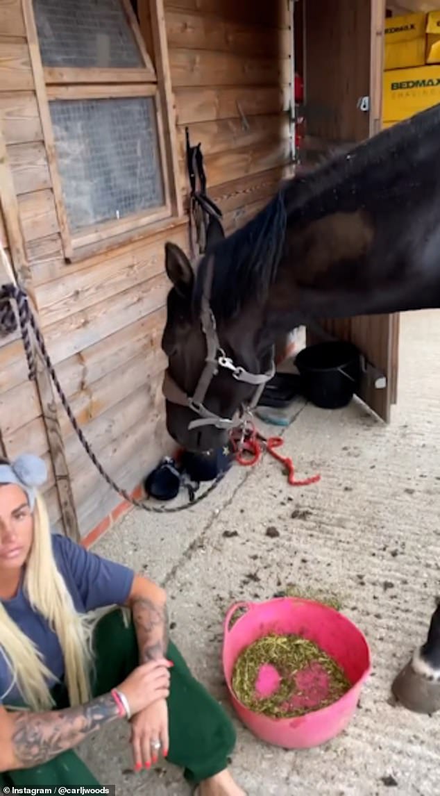 In the video, Katie could be heard saying: 'This is me at my happiest. Thursday evening by the stables feeding the horses.'