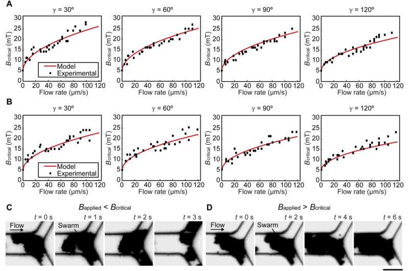 Microrobots in swarms for medical embolization