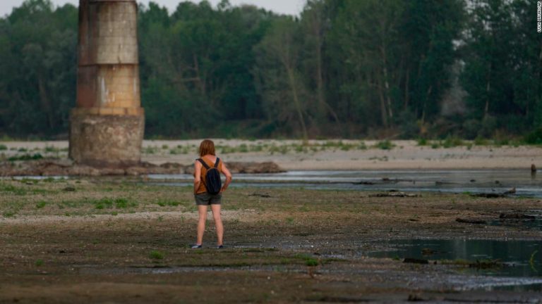 ‘We are in extreme crisis.’ Italian parmesan producers fear for future as River Po levels drop