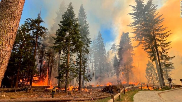 California fire officials and FBI track illegal drones near wildfires