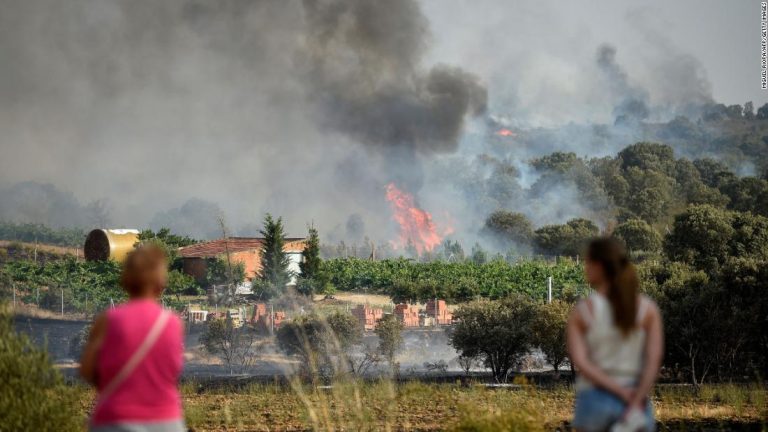 UK records hottest ever day as heatwaves rage across Europe