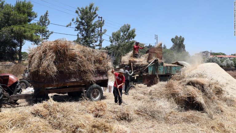 Ukraine’s grain exports are set to resume. For the world’s starving populations, this can’t come soon enough