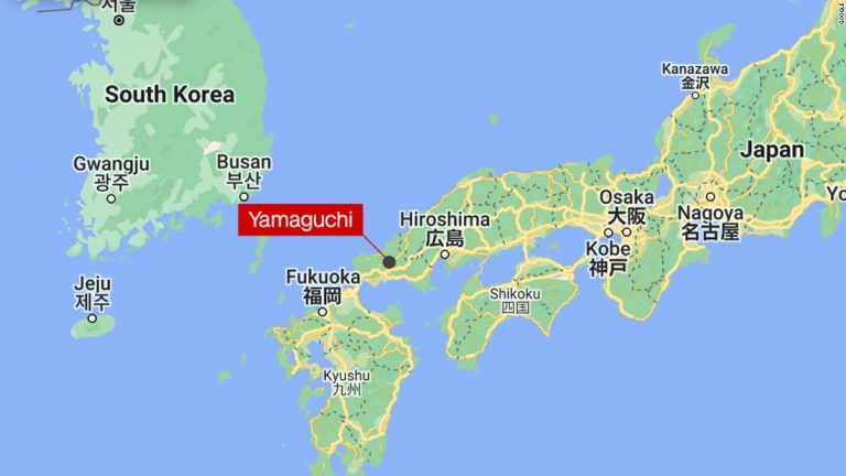 Monkey attacks: Japan’s Yamaguchi city thought they had a rogue macaque. Now they fear there’s more than one