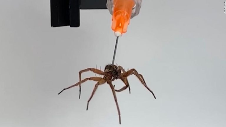 Watch: Engineers make zombie spiders, sort of