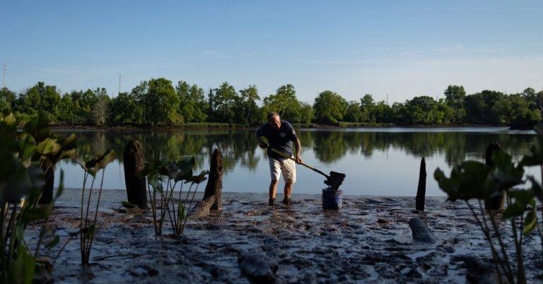 He’s Baseball’s Only Mud Supplier. It’s a Job He May Soon Lose.