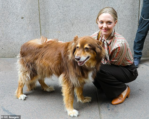 Amanda Seyfried makes a rare appearance with her dog Finn