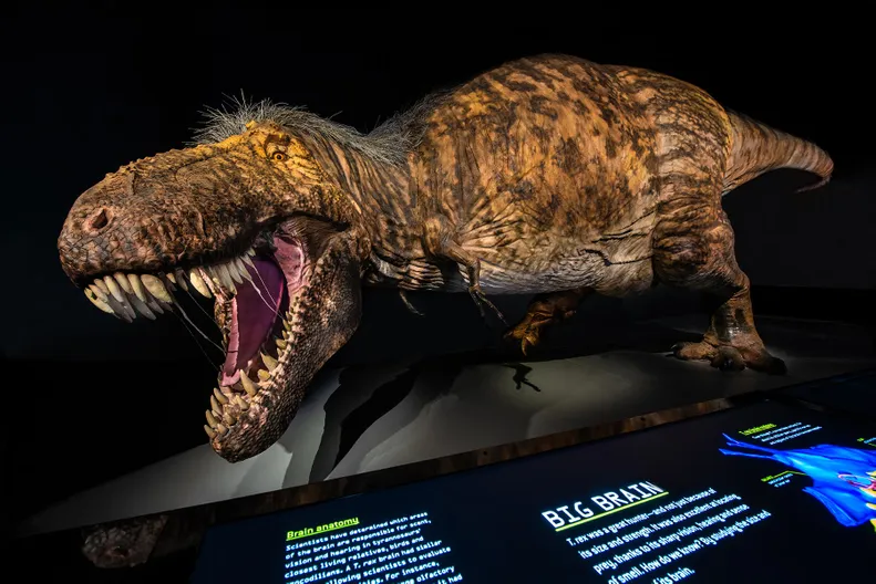 T. rex Model Ultimate Predator