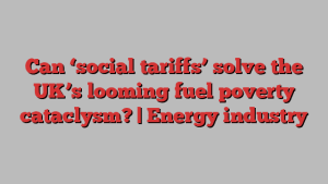 Can ‘social tariffs’ solve the UK’s looming fuel poverty cataclysm? | Energy industry