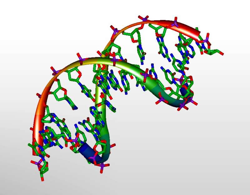 DNA