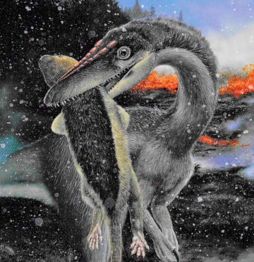 Dinosaurs took over amid ice, not warmth, says a new study of ancient mass extinction