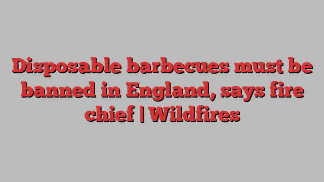 Disposable barbecues must be banned in England, says fire chief | Wildfires