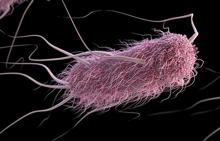 Genetically Engineered, Sound-Controlled Bacteria That Seek and Destroy Cancer Cells