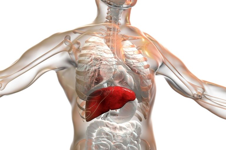 A Revolutionary Discovery Could Help People With Unexplained Liver and Kidney Issues