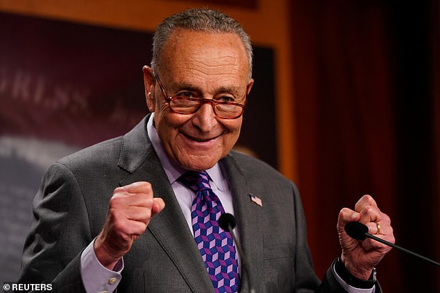 ‘I’ll support him if he runs’ says Schumer when asked whether Biden should run again