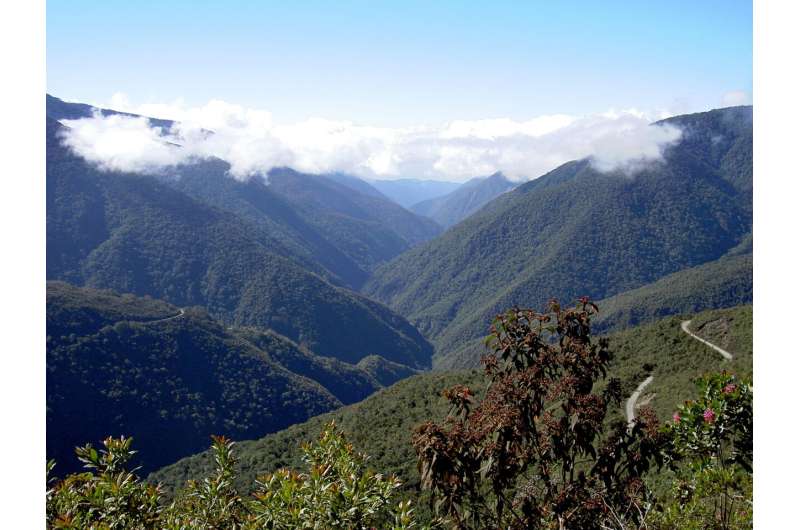 Informing future conservation priorities of ecosystems in the Tropical Andes