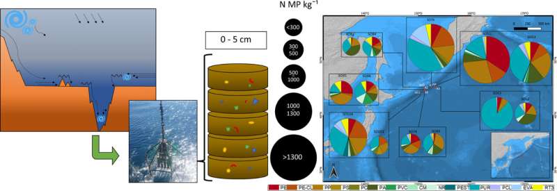 Final destination deep sea: Microplastics' impact on ocean floor even greater than assumed