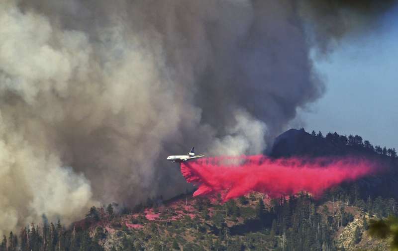 Preventative fires credited with saving Yosemite sequoias