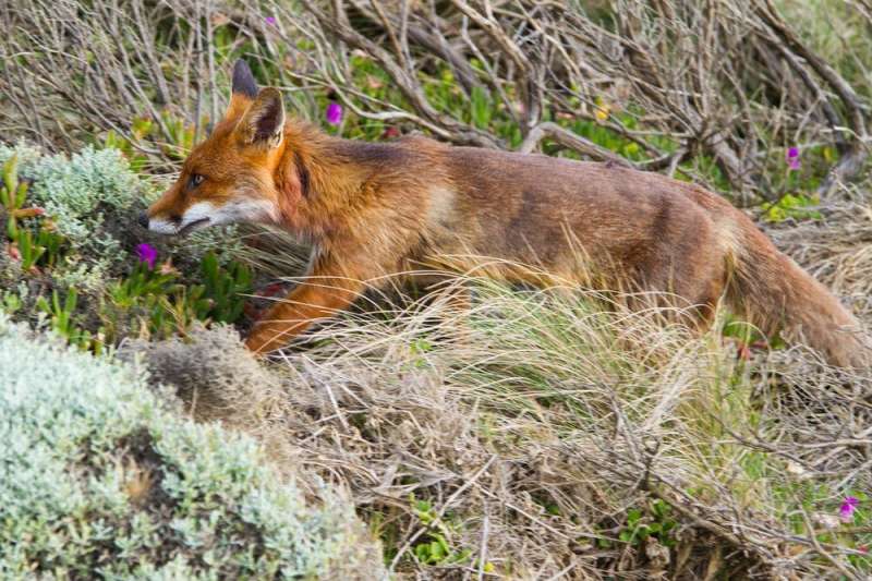 Protecting 30% of Australia's land and sea by 2030 sounds great – but it's not what it seems