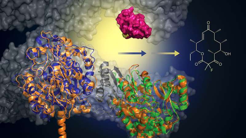 Scientists develop greener, more efficient method for producing next-generation antibiotics