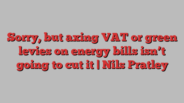 Sorry, but axing VAT or green levies on energy bills isn’t going to cut it | Nils Pratley