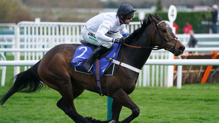 Constitution Hill ridden by Nico de Boinville wins the Sky Bet Supreme Novices&#39; Hurdle