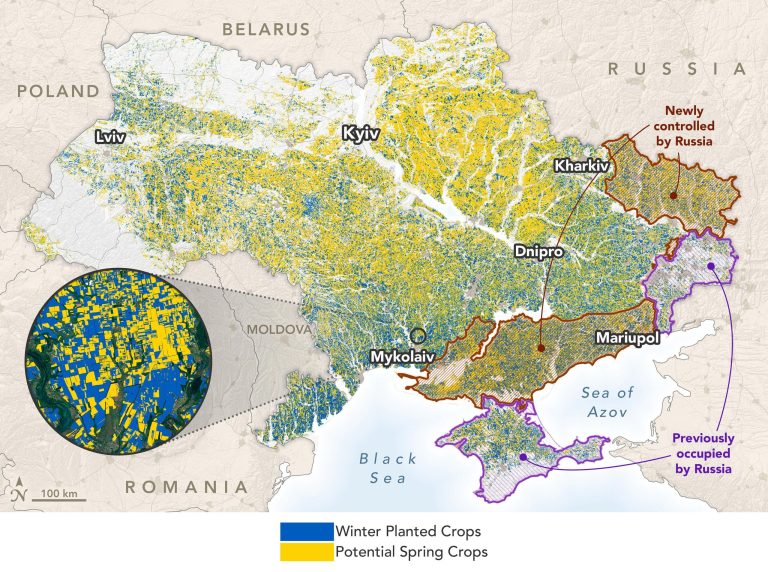 Measuring War’s Effect on a Global Breadbasket