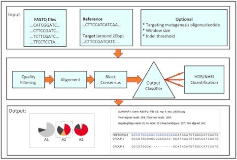 A new and easy-to-use web server to identify genome edited cells