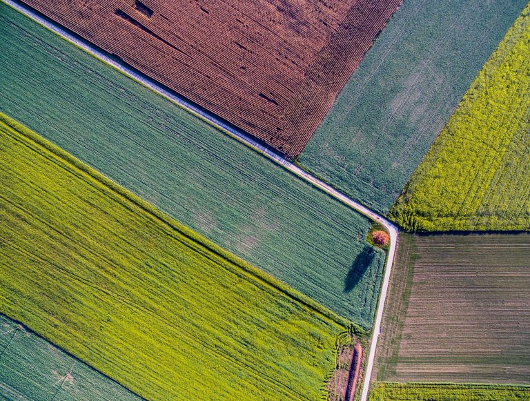 Soil quality critical to help some US crops weather heat stress from climate change