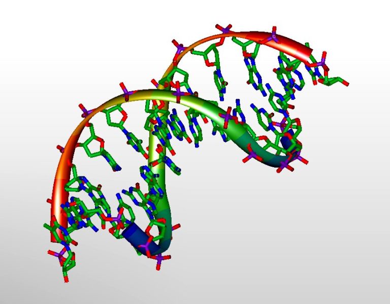 Demystifying DNA hybridization kinetics