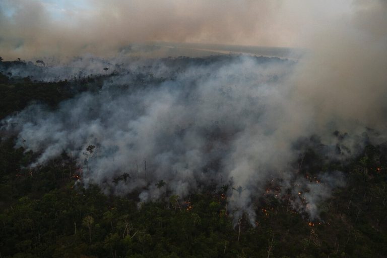 Brazil sets new six-month Amazon deforestation record