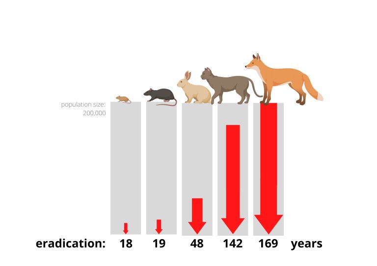 Genetically-enhanced biocontrols could help fight large invasive mammals