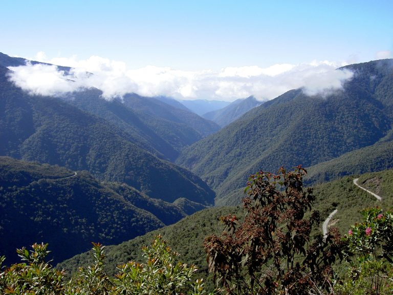 Informing future conservation priorities for ecosystems in the Tropical Andes