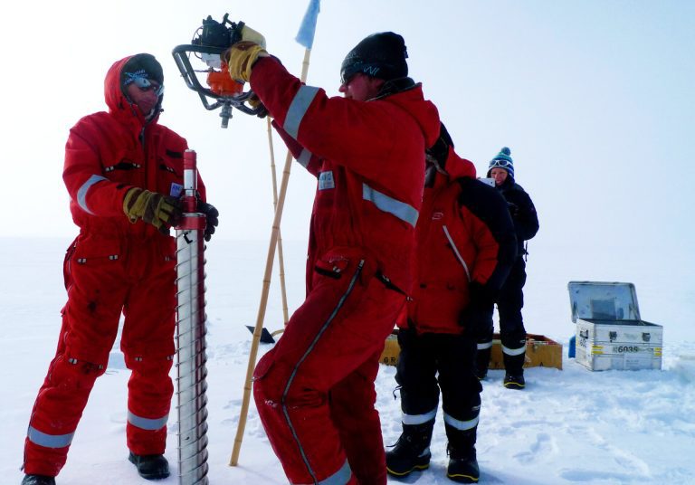 Levels of ‘forever chemicals’ reaching Antarctica have been increasing