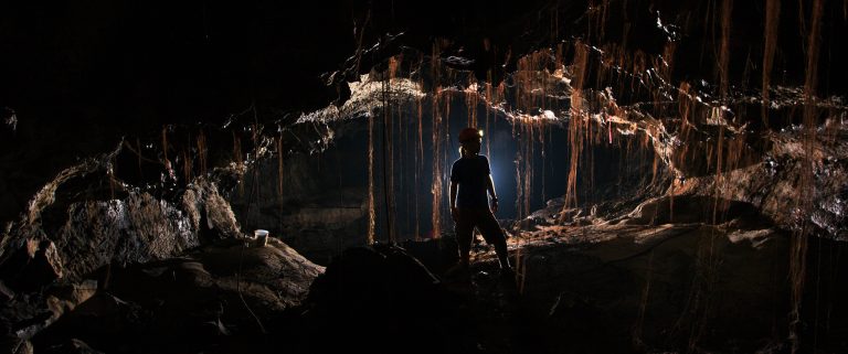 Centuries-old lava caves of Hawaiʻi Island contain thousands of unknown bacterial species