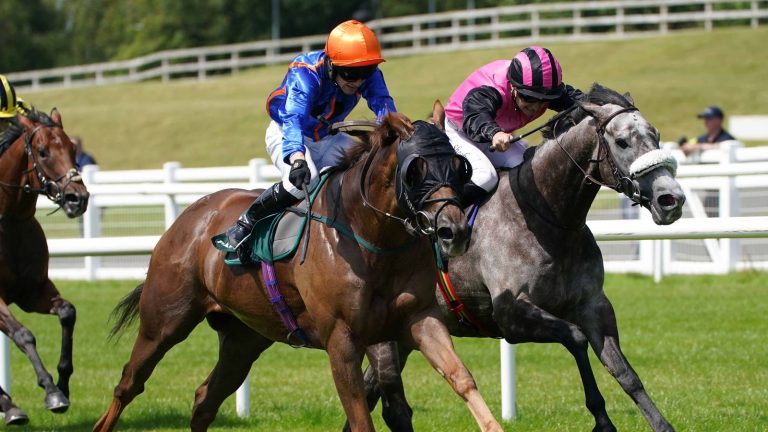 Mr Wagyu claims valuable pot in Scurry Handicap at the Curragh | Racing News