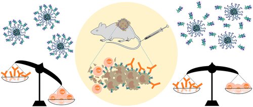 New class of nanoparticle-based vaccines could help immunize against cancer